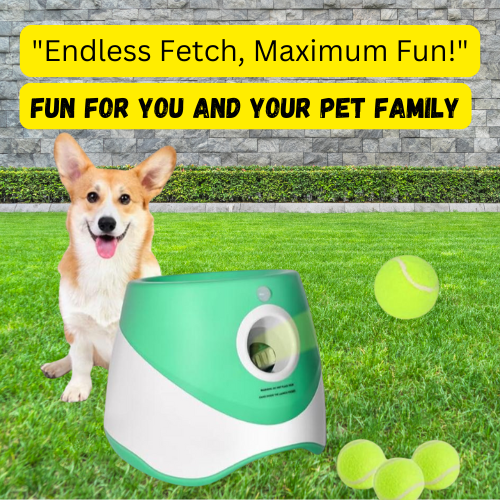 "Automatic Dog Ball Launcher – Interactive Toy for Small & Medium Dogs"