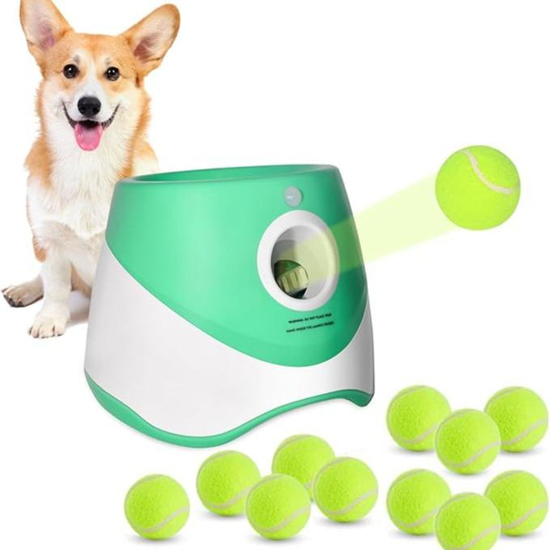 "Automatic Dog Ball Launcher – Interactive Toy for Small & Medium Dogs"