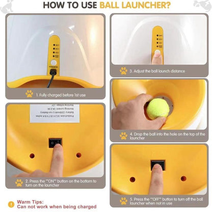 "Automatic Dog Ball Launcher – Interactive Toy for Small & Medium Dogs"